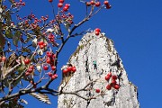 14 Arrampicata sul Torrione Longo